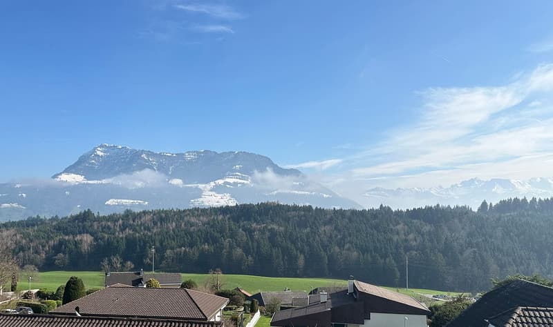 Exklusives Wohnen mit Weitblick  Ihr neues Zuhause in Udligenswil (7)