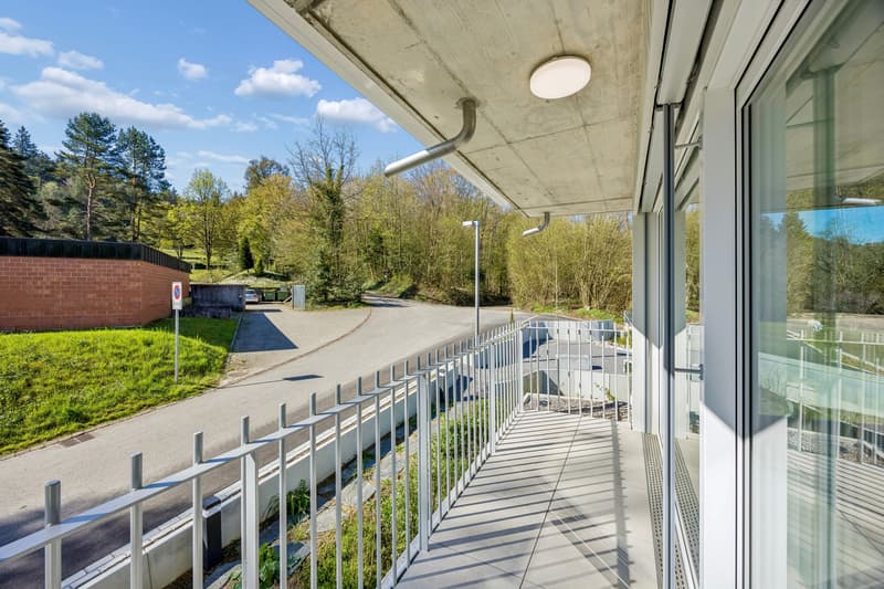 2.5-room apartment in a new building / first occupancy with a sunny south balcony in Neuenhof (5)
