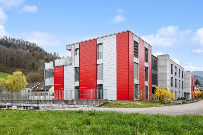 Mehrere Wohnungen als Investment in Trimbach kaufen! (2)