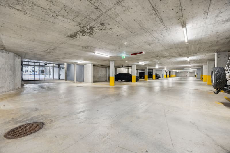 4.5-Zimmer-Attikawohnung mit grosser Dachterrasse! (12)