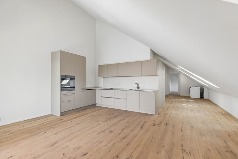Appartement moderne de 3,5 pièces sous les toits - lumineux et accueillant (6)