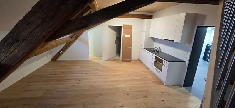 Duplex moderne 2.5 pièces à Stein AG à louer (N° 16) (4)