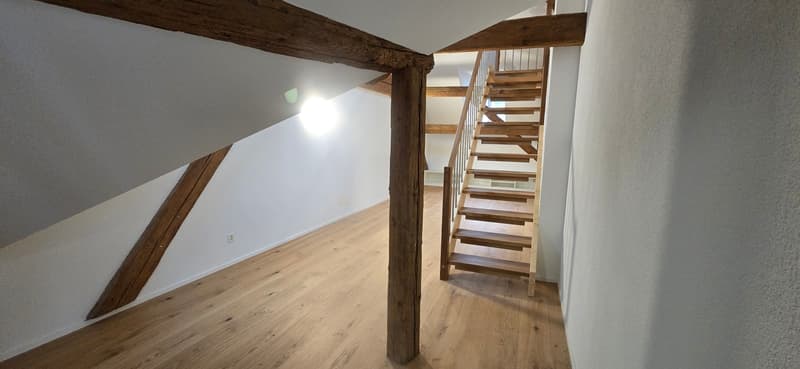 Duplex moderne de 2,5 pièces à Stein AG à louer (n° 20) (3)