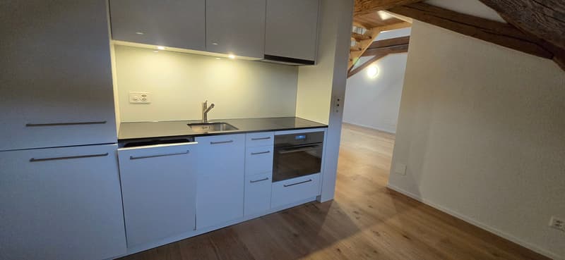 Duplex moderne de 2,5 pièces à Stein AG à louer (n° 20) (11)