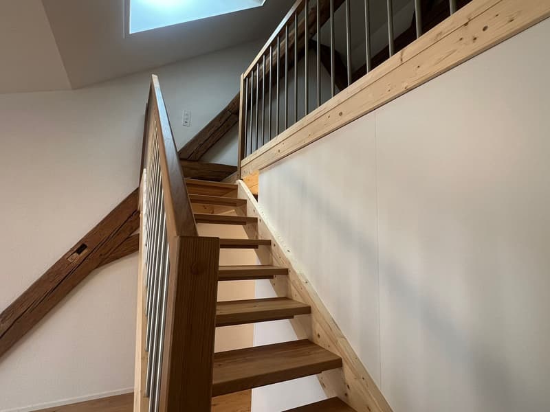 Duplex moderne de 2,5 pièces à Stein AG à louer (n° 20) (2)