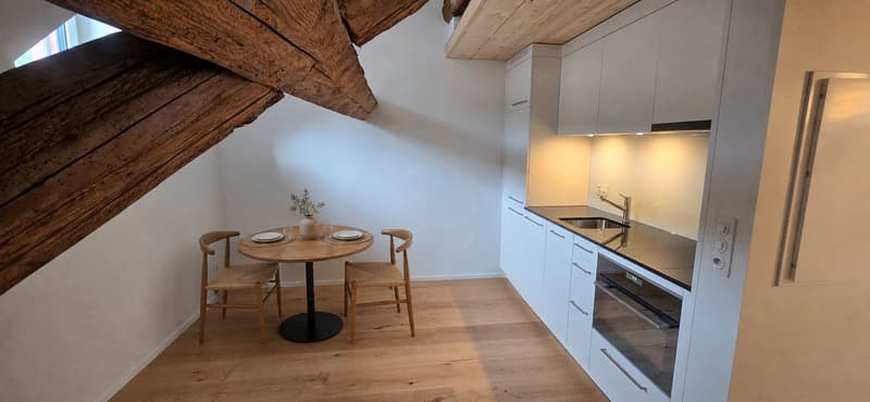 Duplex moderne de 2,5 pièces à Stein AG à louer (n° 20) (7)