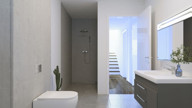 New building in a sunny location - modern 5.5-room single-family house with plenty of light and a spacious terrace (6)