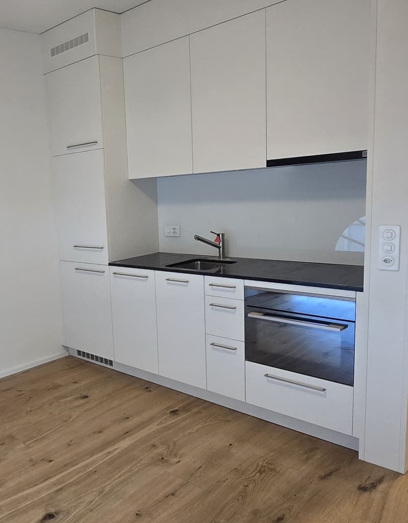 Moderne 2.5-Zimmer-Duplex in Stein AG mieten (Nr. 16) (2)