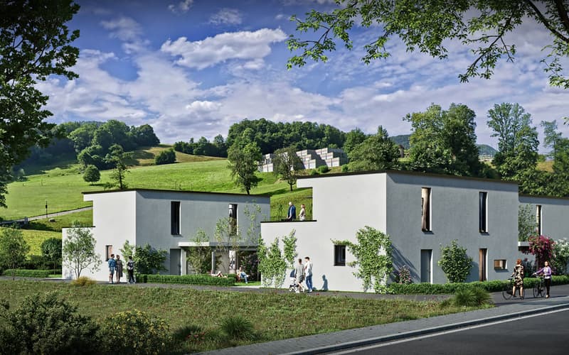 Exklusives Neubauprojekt in Zullwil - Wohnen nach Ihren Vorstellungen (C) (1)