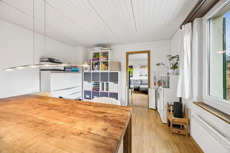 Einfamilienhaus mit Gartenidylle, grossem Aussenbereich und spannendem Ausbaupotenzial (13)