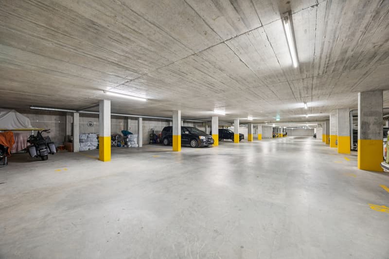 Trimbach: Sonnige 2.5-Zi.-Eigentumswohnung mit 43.6 m² Terrasse (12)