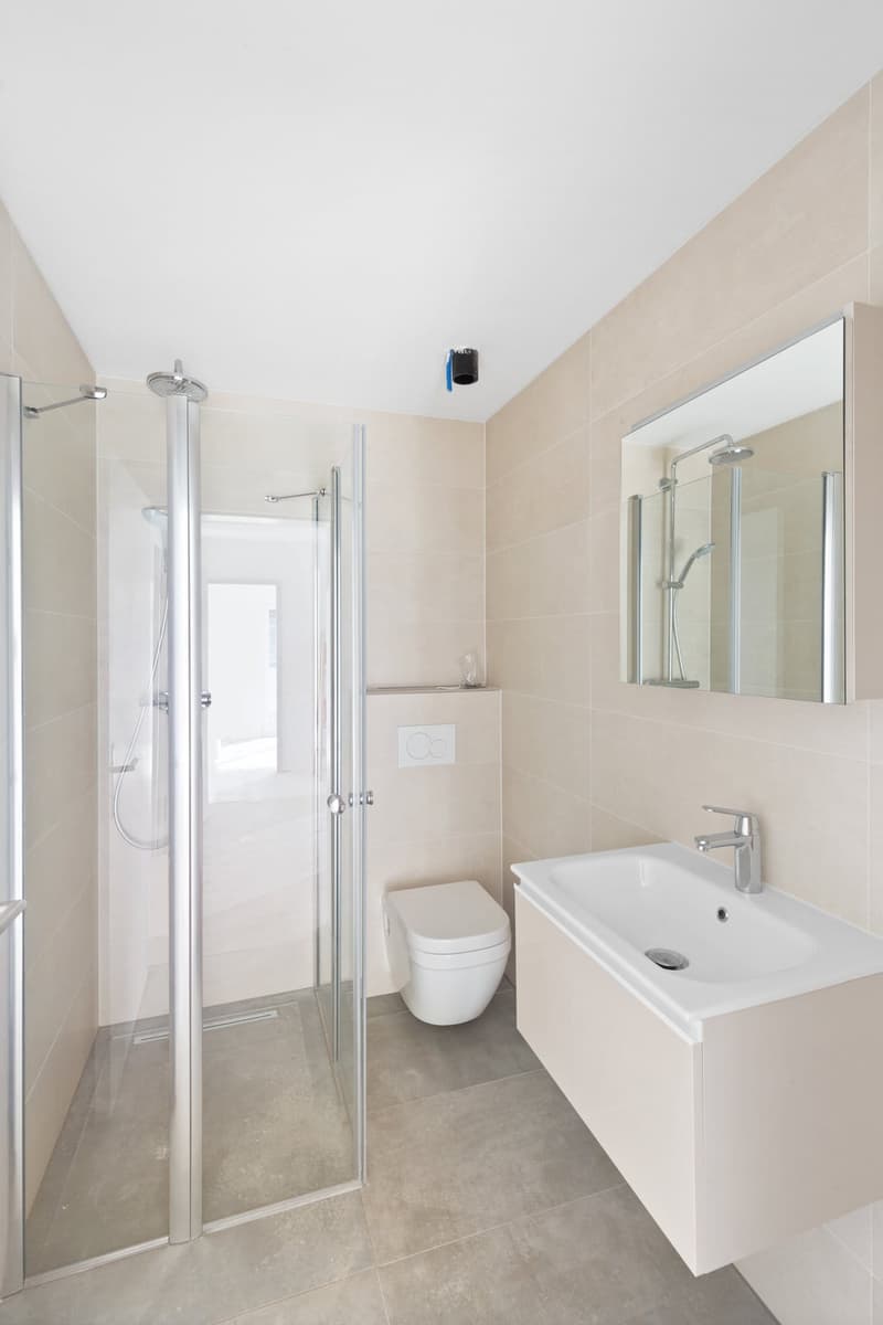 Moderne 1.5-Zimmer-EG-Wohnung in Aarwangen mieten (4)