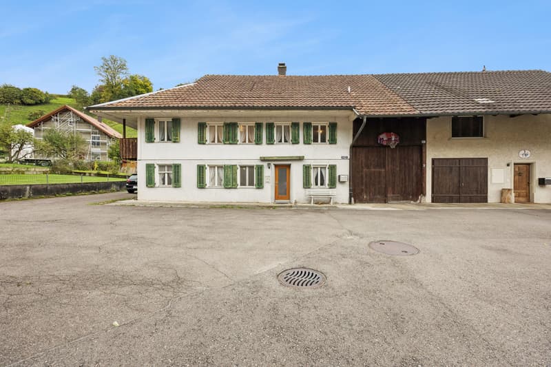 Grosszügiges 7-Zimmer-Haus in Leibstadt mit grosser Dachterrasse und viel Potenzial (1)