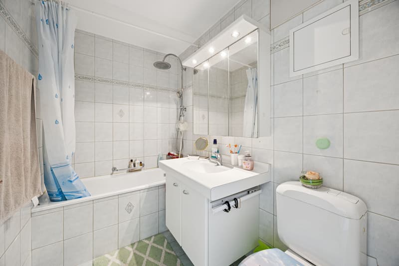 Grosszügige 6.5-Zimmer-Dachwohnung mit flexiblem Grundriss - teilbar in 3.5- und 4.5-Zimmer-Wohnung (10)