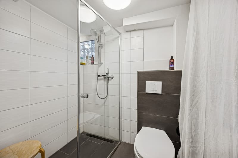 Stilvoll renoviertes 5.5-Zimmer-Reihenhaus mit 166 m² Wohnkomfort und grosser Terrasse (8)