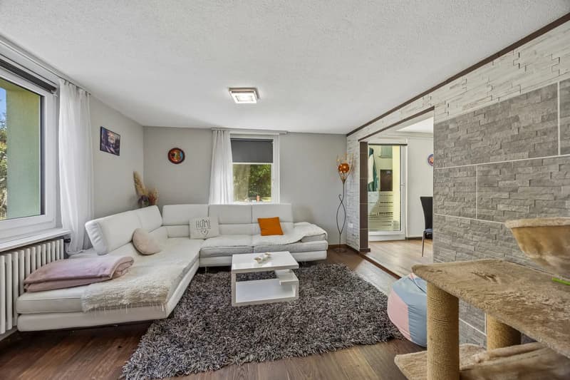 5.5-Zi.-Einfamilienhaus mit Garten und Garage in Ammerswil kaufen (1)