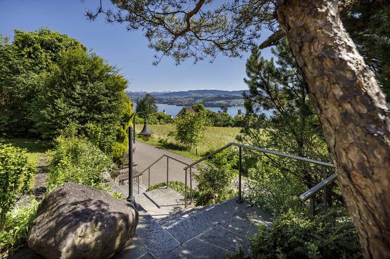 BELVEDERE 180 (3)