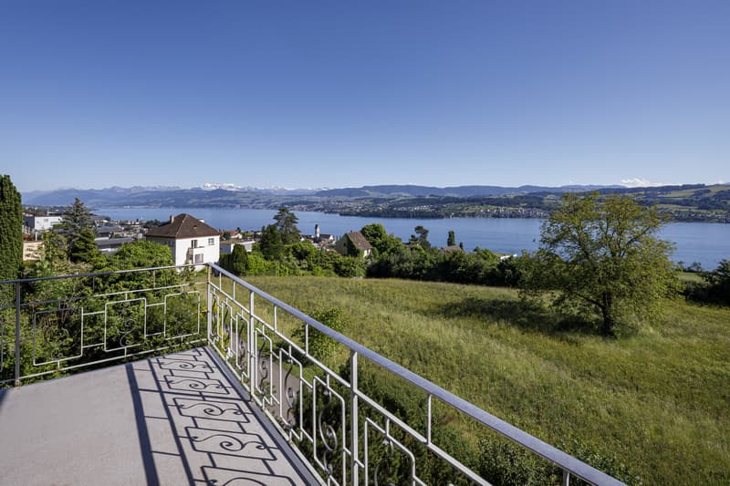 BELVEDERE 180 (5)