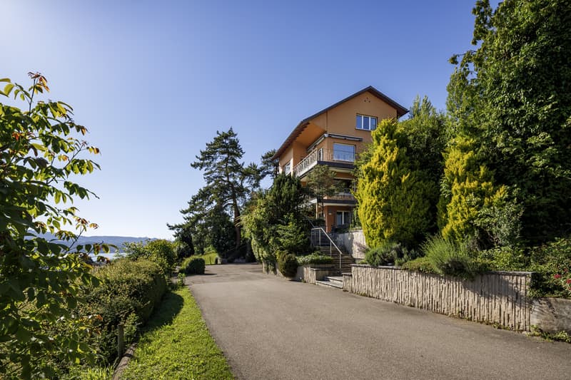 PANORAMAGRUNDSTÜCK AM ZÜRICHSEE (4)