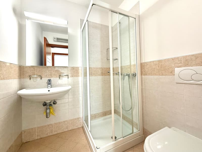 Appartamento di 5 locali con giardino e vista lago a Morcote (12)