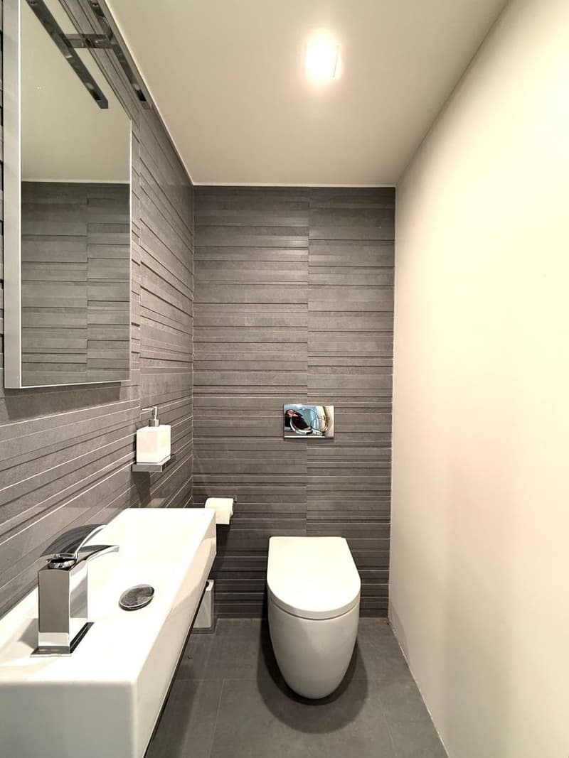 Furnished 2.5-room apartment with garden and balcony in Morcote (11)