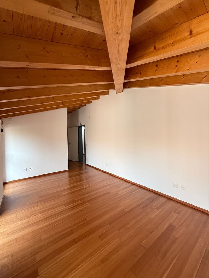 Appartamento attico 4,5 locali immerso nel verde a Cadro (6)