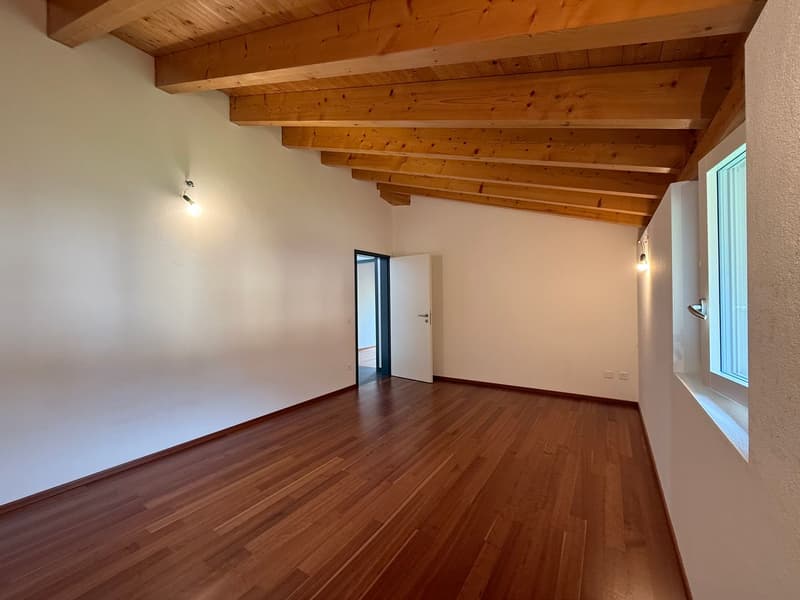 Appartamento attico 4,5 locali immerso nel verde a Cadro (7)