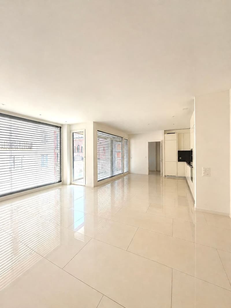 Luxury 3.5-room apartment, just two steps from the center of Lugano (1)