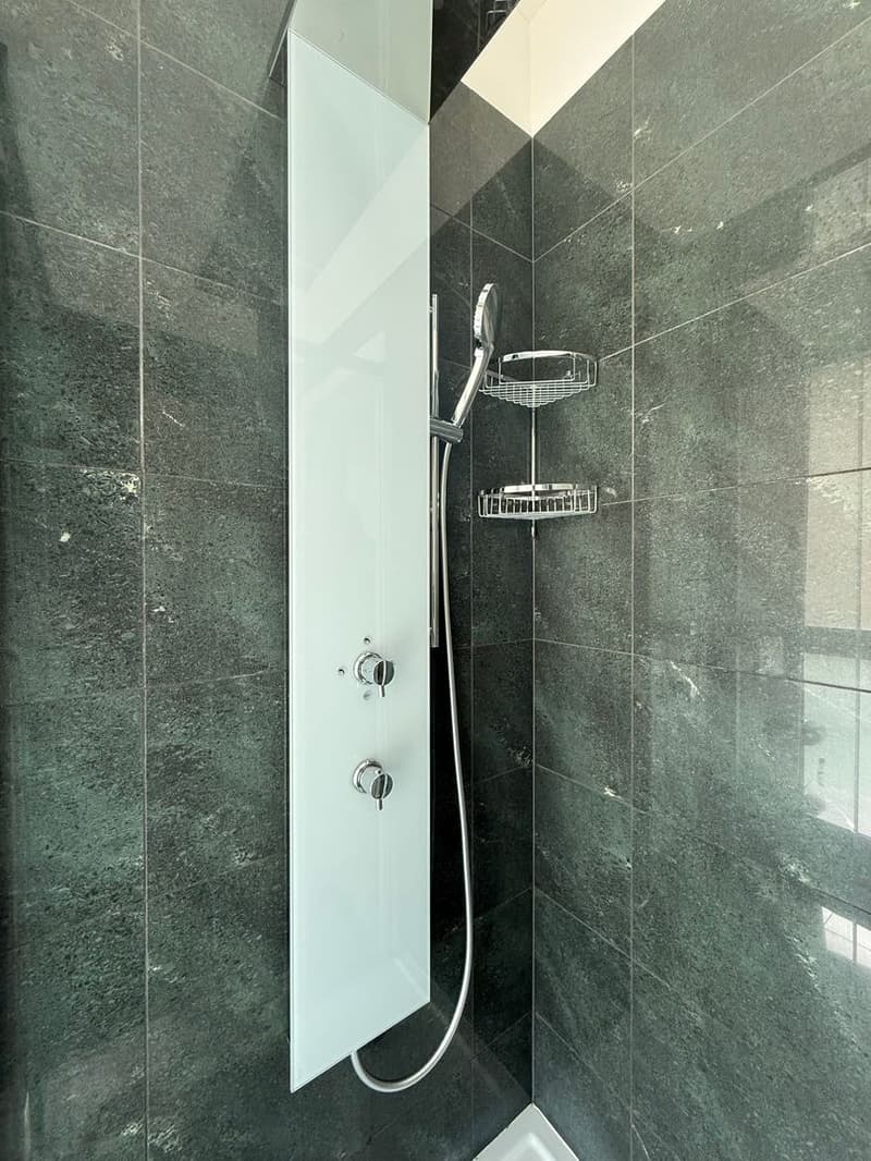 Luxury 3.5-room apartment, just two steps from the center of Lugano (8)