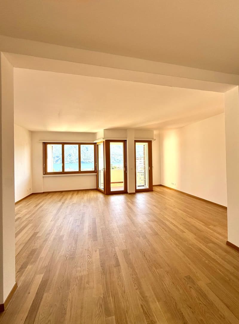Appartement de 4,5 pièces dans le quartier de la gare à Lugano avec vue sur le lac (2)