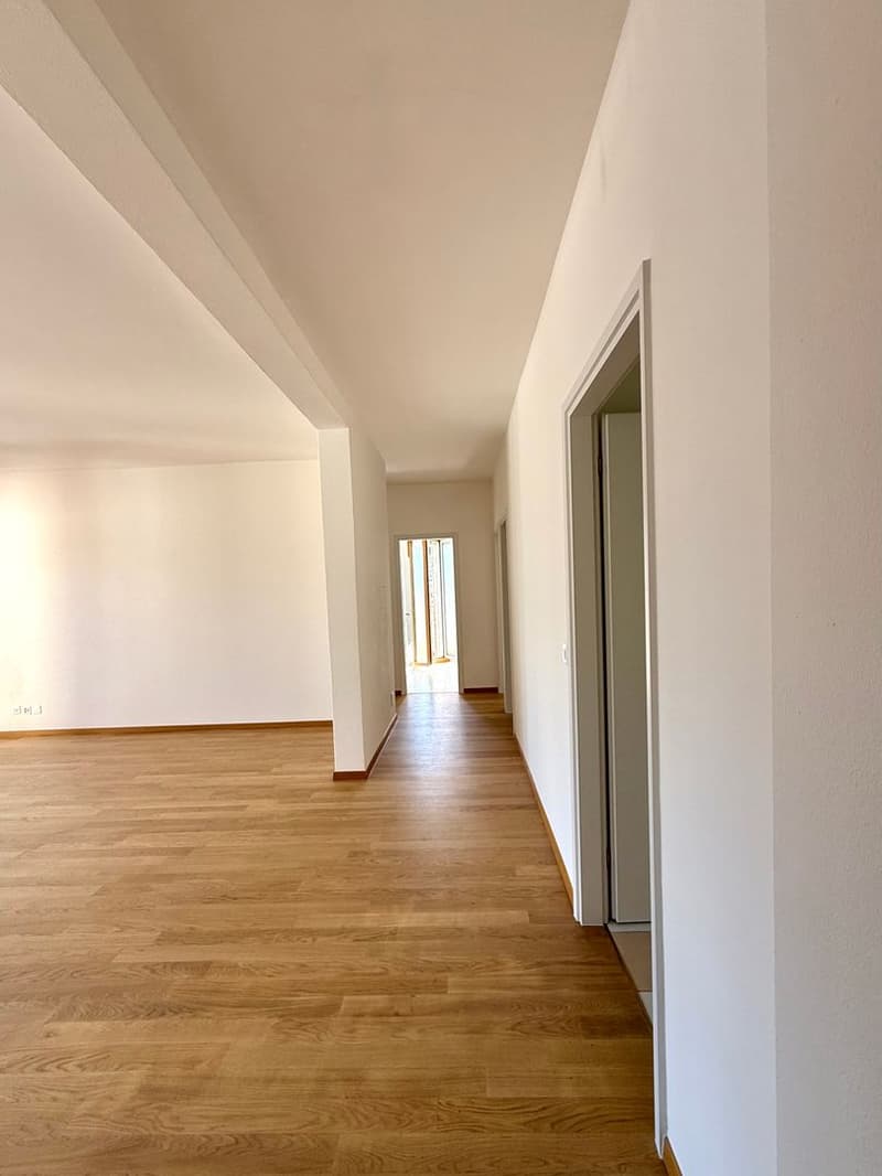 Appartement de 4,5 pièces dans le quartier de la gare à Lugano avec vue sur le lac (4)