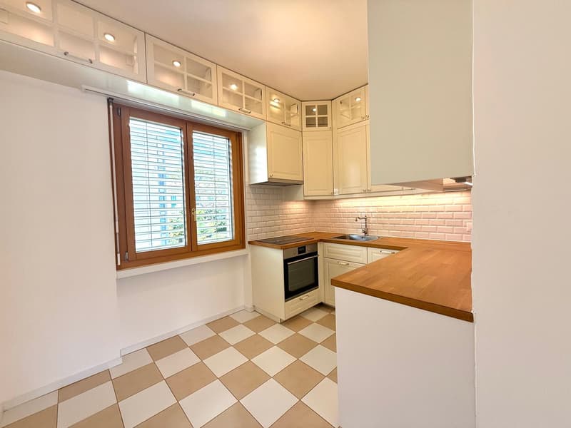 Appartement de 4,5 pièces dans le quartier de la gare à Lugano avec vue sur le lac (6)