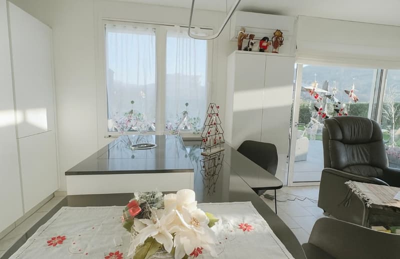 Appartamento 3,5 locali con ampia terrazza e giardino (4)
