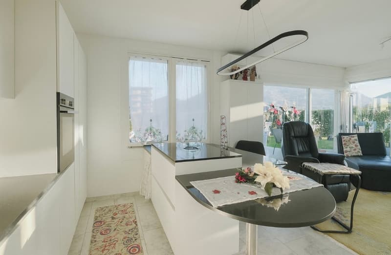 Appartamento 3,5 locali con ampia terrazza e giardino (2)