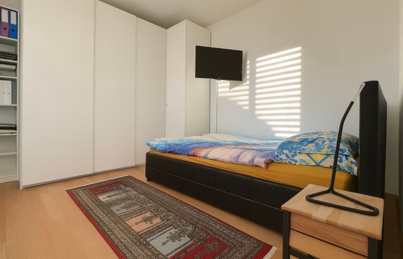 Appartamento 3,5 locali con ampia terrazza e giardino (8)