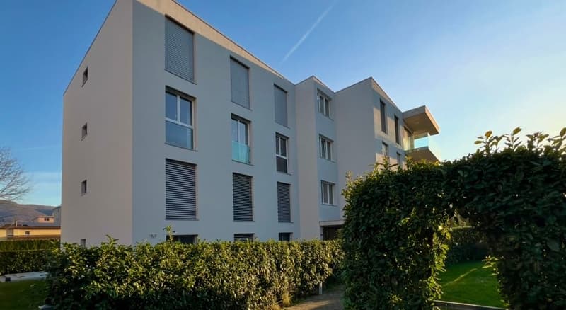 Appartamento 3,5 locali con ampia terrazza e giardino (16)