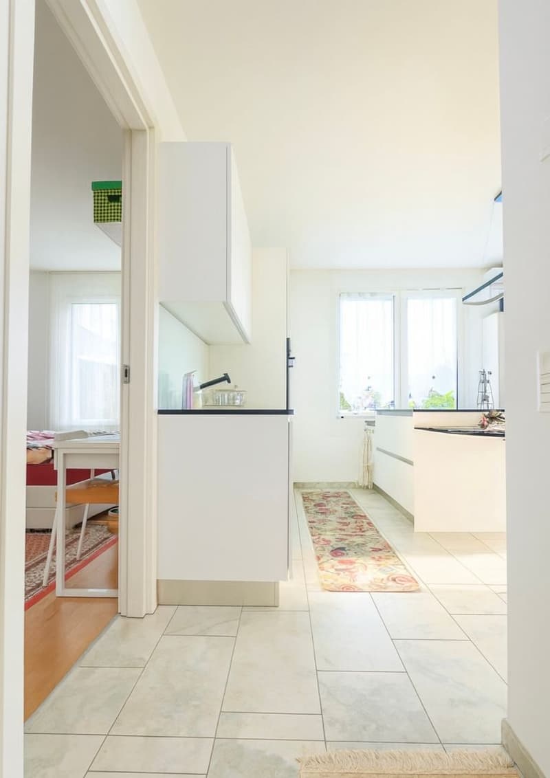 Appartamento 3,5 locali con ampia terrazza e giardino (5)