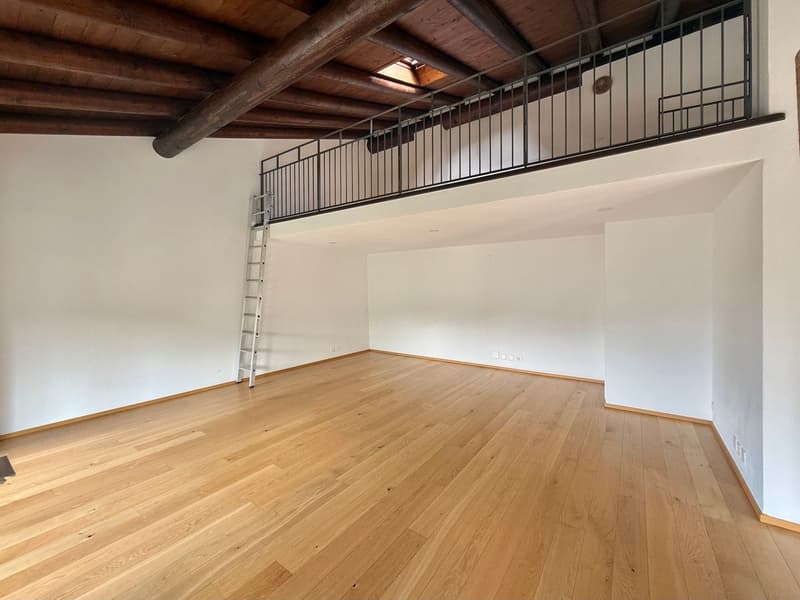 Esclusivo attico duplex di 5,5 locali con loggiato panoramico e giardino privato nel cuore di Origlio (6)