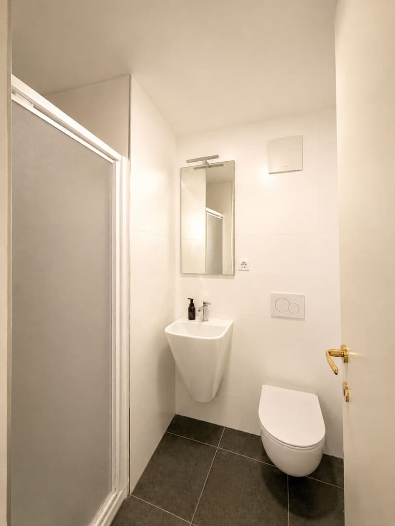 Esclusivo attico duplex di 5,5 locali con loggiato panoramico e giardino privato nel cuore di Origlio (12)