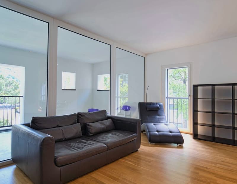 Esclusivo loft ammobiliato a due passi dall'Università a Lugano (4)