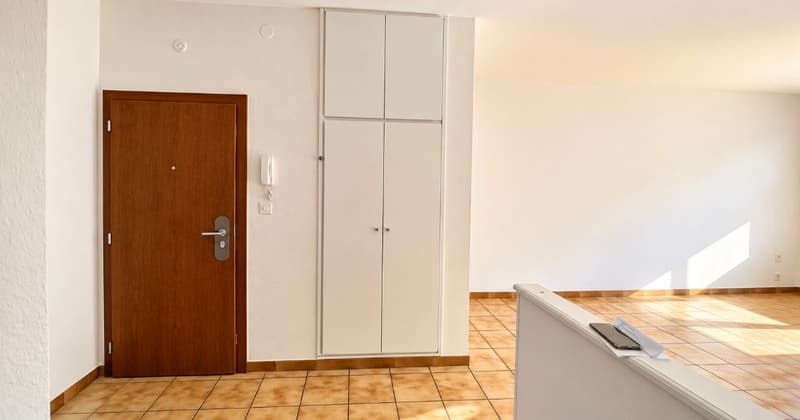 Appartamento 3,5 locali centrale (6)