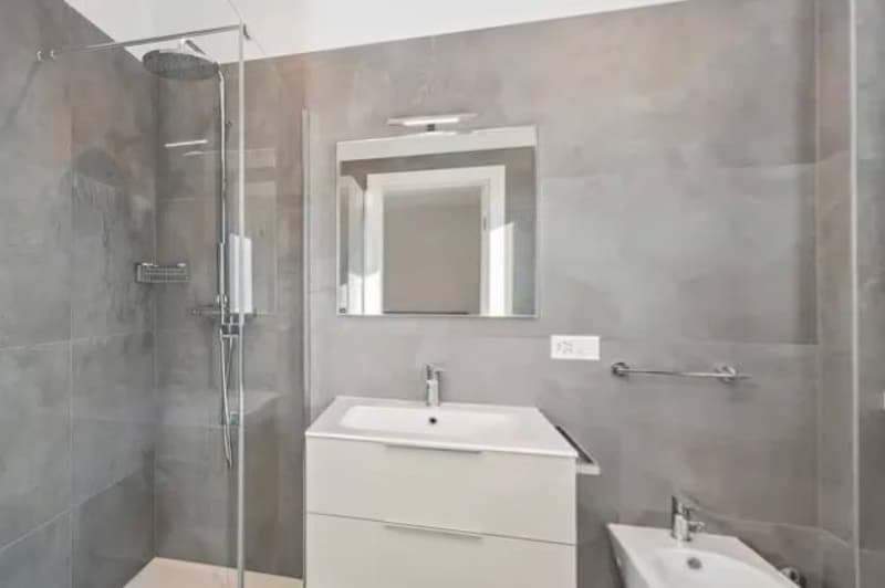 Appartamento attico ammobiliato in centro a Lugano (7)