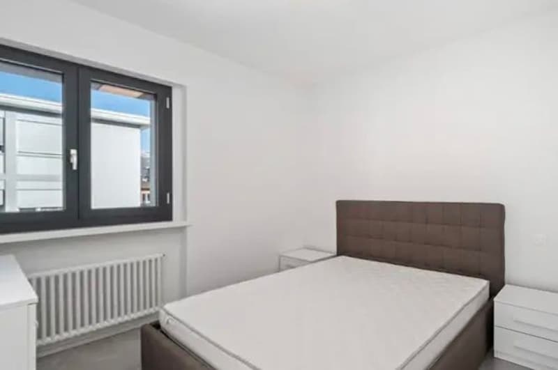 Appartamento attico ammobiliato in centro a Lugano (4)