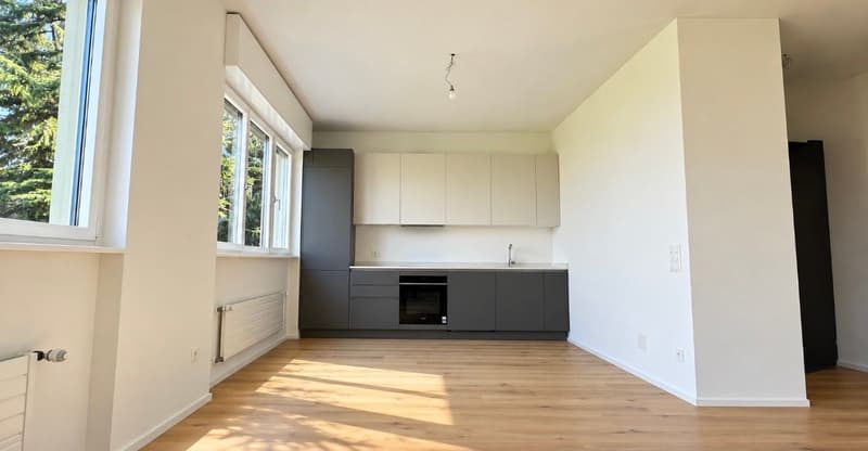 Nuovo appartamento con terrazza in tranquilla zona residenziale (3)
