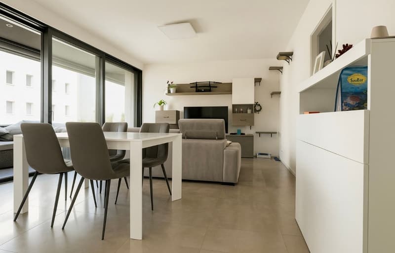 Appartamento 3,5 locali con bella terrazza (2)