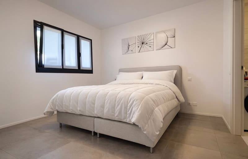 Appartamento 3,5 locali con bella terrazza (8)