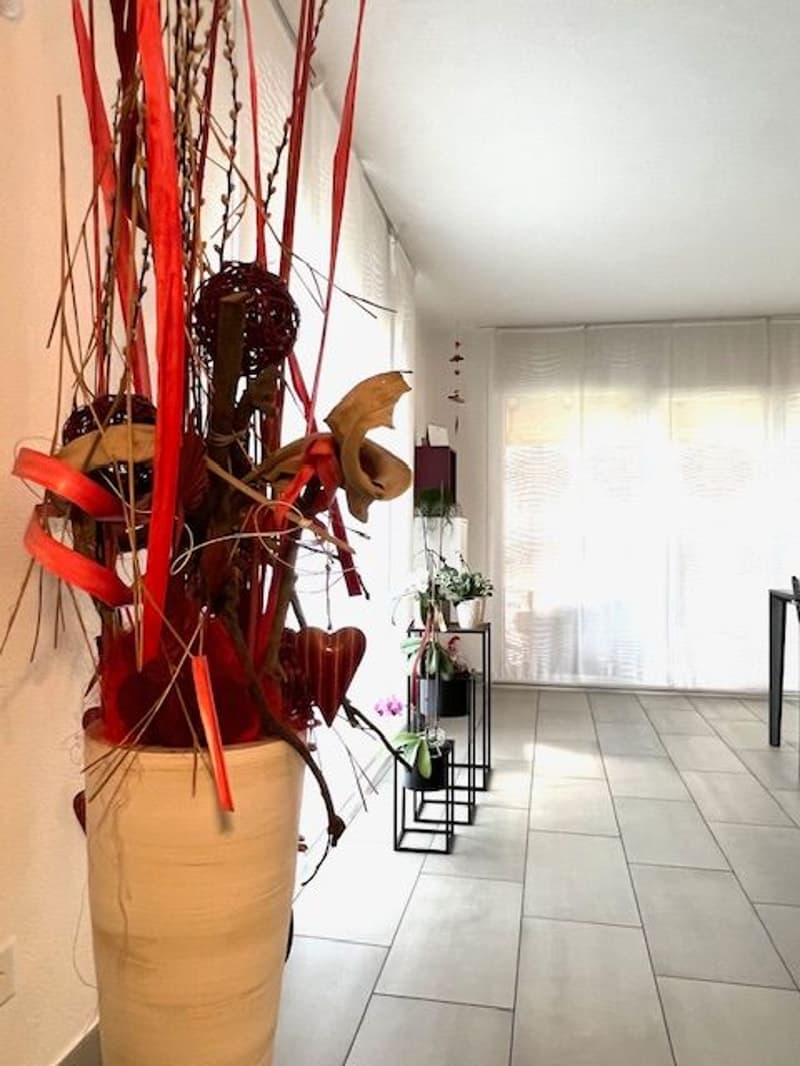 Osogna - villetta in vendita con giardino privato e soffitti a vista (11)