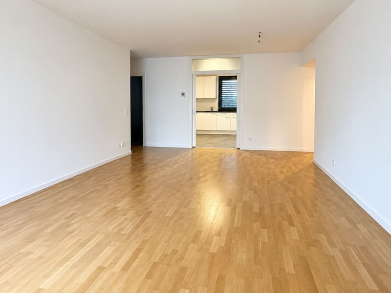 Spazioso e luminoso appartamento di 4.5 locali con terrazzo e giardino privato (7)