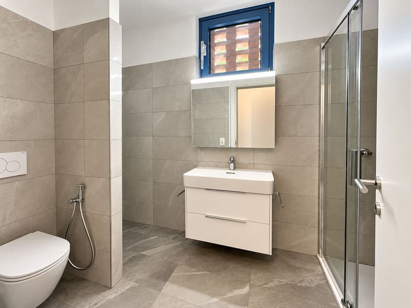 Spazioso e luminoso appartamento di 4.5 locali con terrazzo e giardino privato (13)