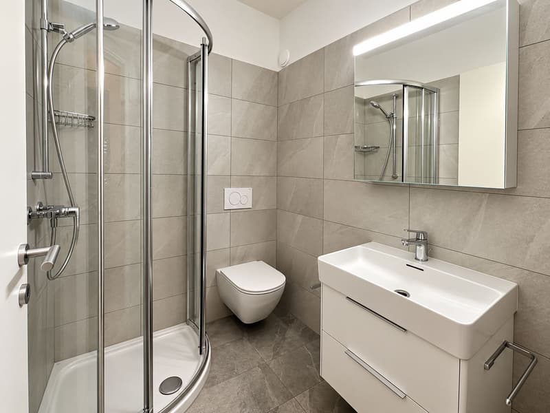 Spazioso e luminoso appartamento di 4.5 locali con terrazzo e giardino privato (11)